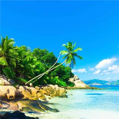 澳门·威尼斯人截图